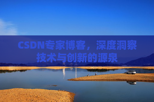 CSDN专家博客，深度洞察技术与创新的源泉